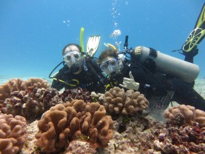IMG_Scuba Diving Certification Prices in Hawaii