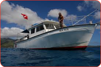 seafox humpback whale tour