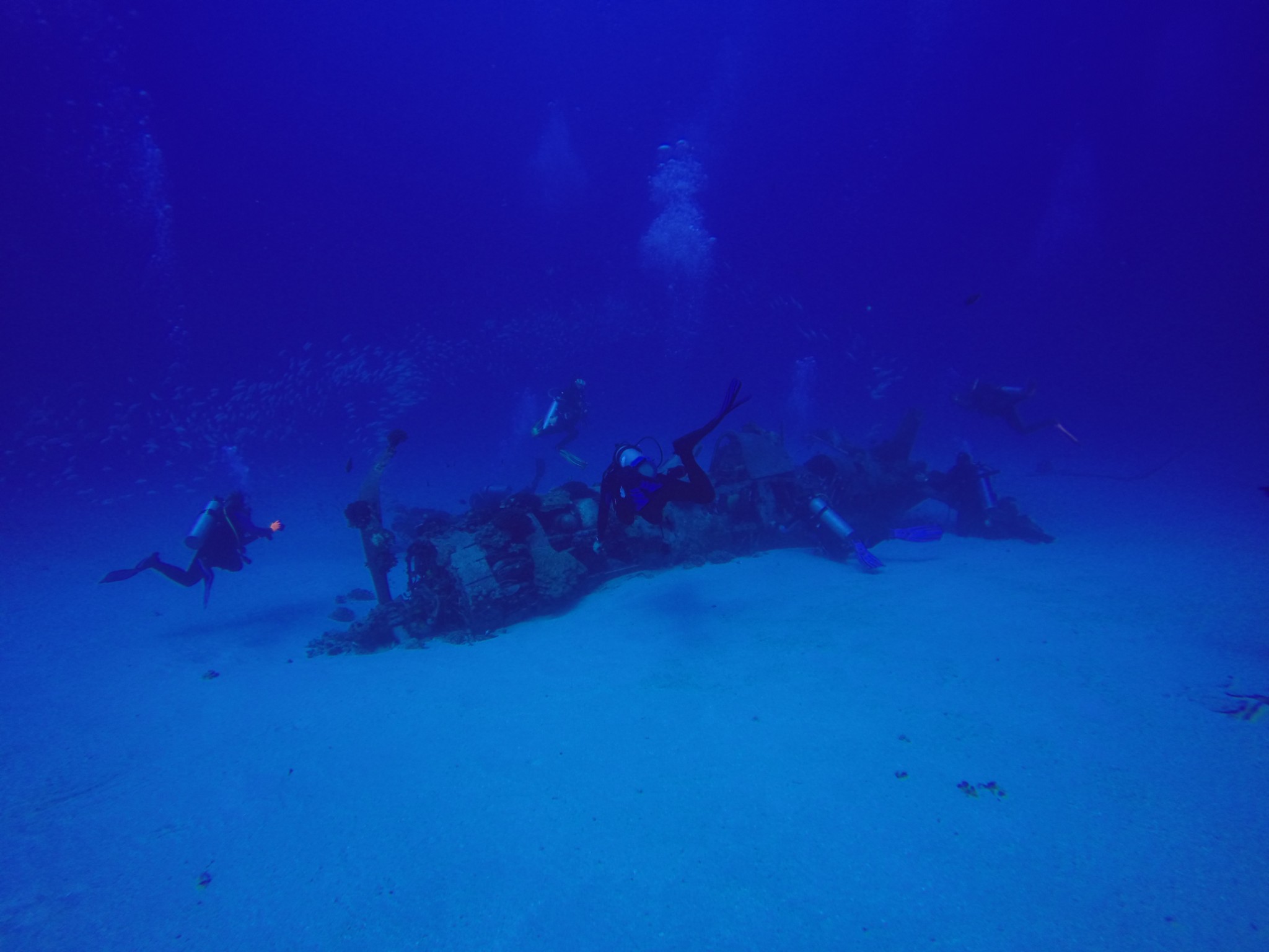 Dive Report 3/4/14–Corsair and Sea Cave