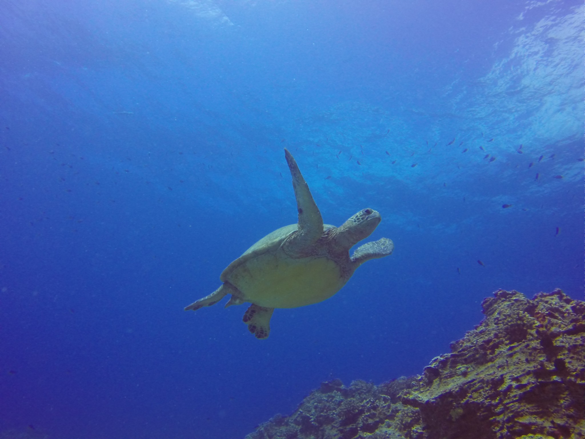 FANTASY LANDING CRAFT – March 12, 2014