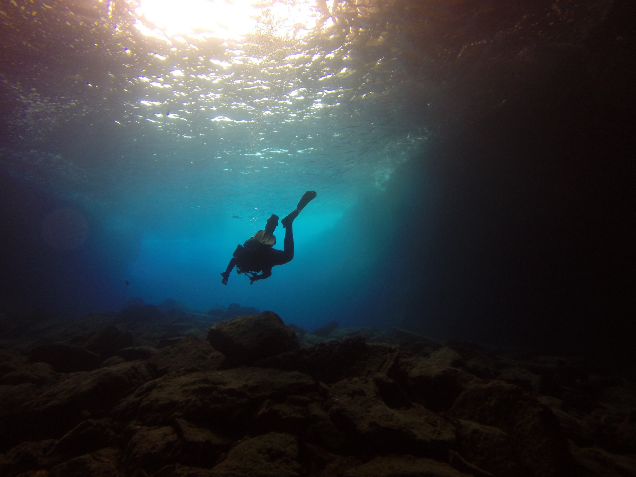 Morning Frog Fish Delight – March 6, 2014