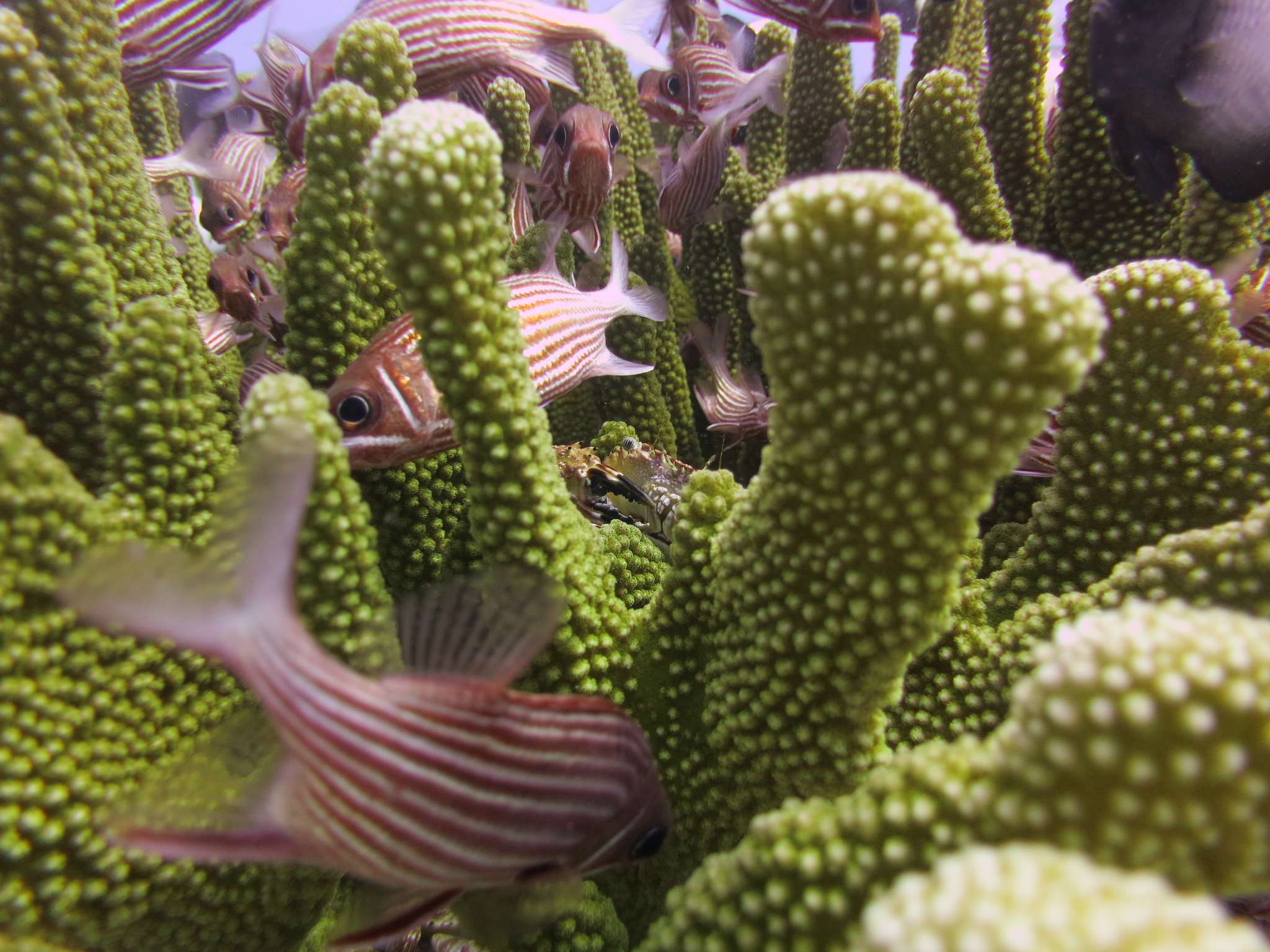 July 31- Bye bye July