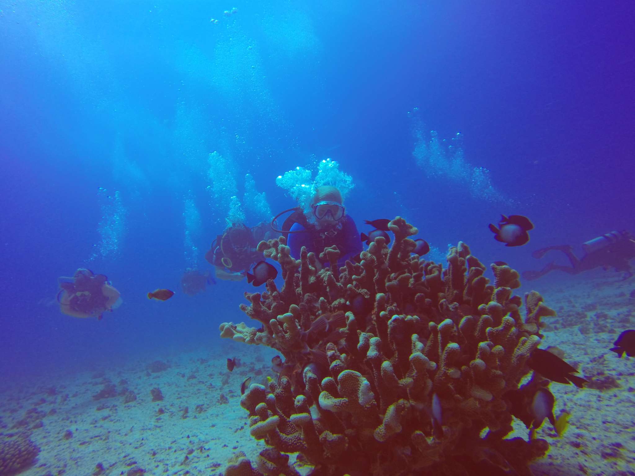 August 14- I love scuba diving