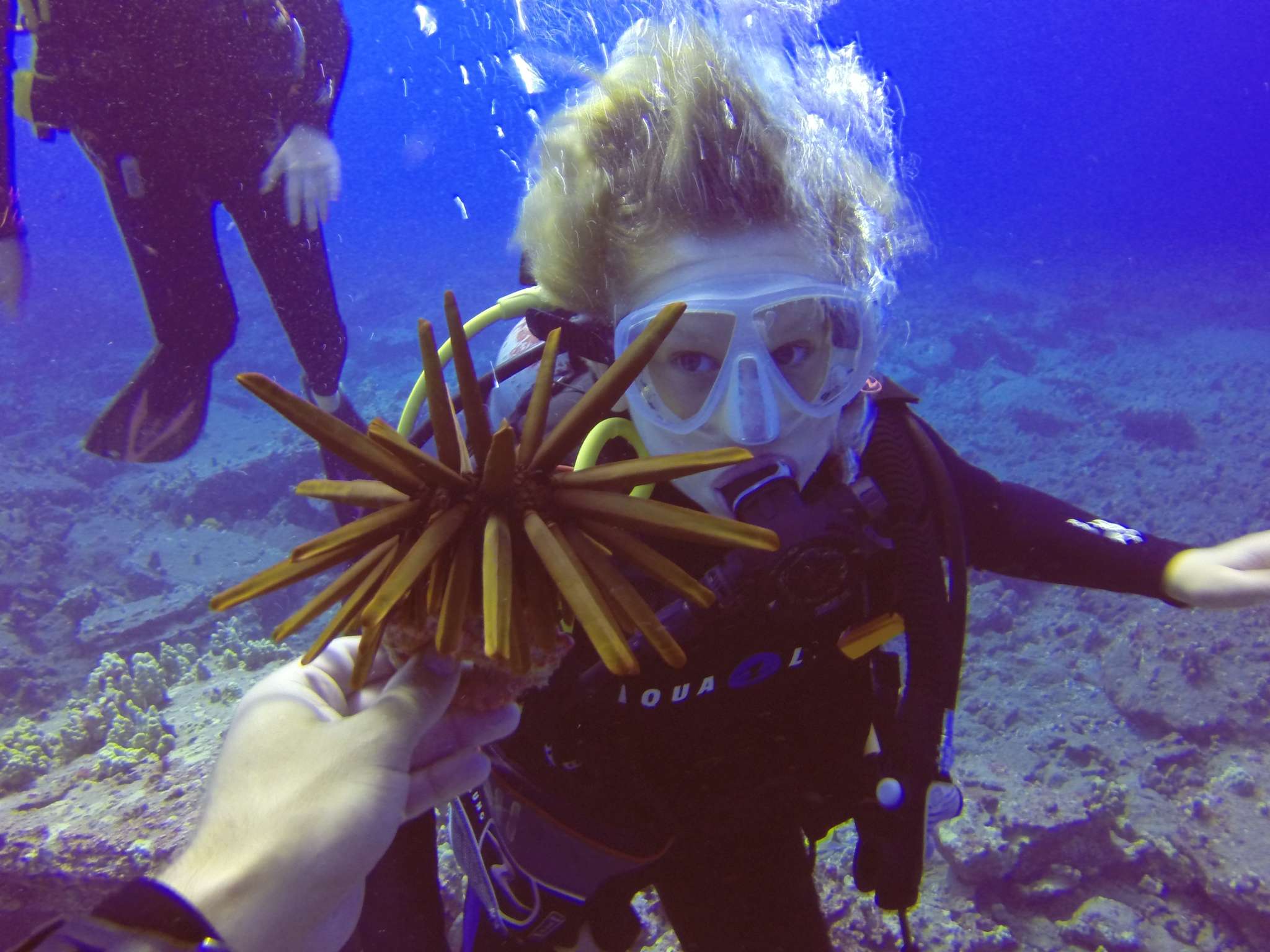 8/4 Something Something Bobbing in the Waves