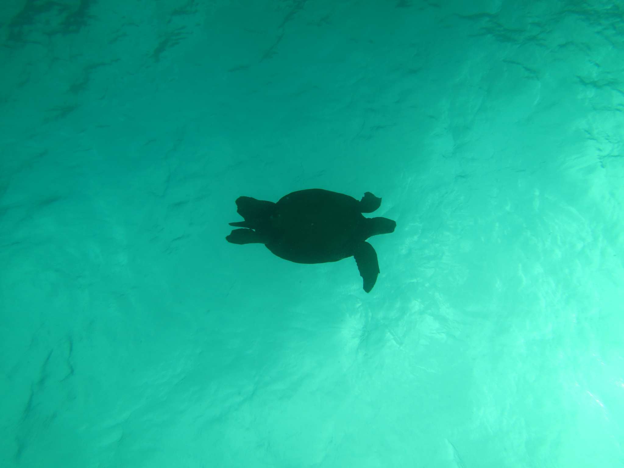 LOOK OUT BELOW!!  28 FEB