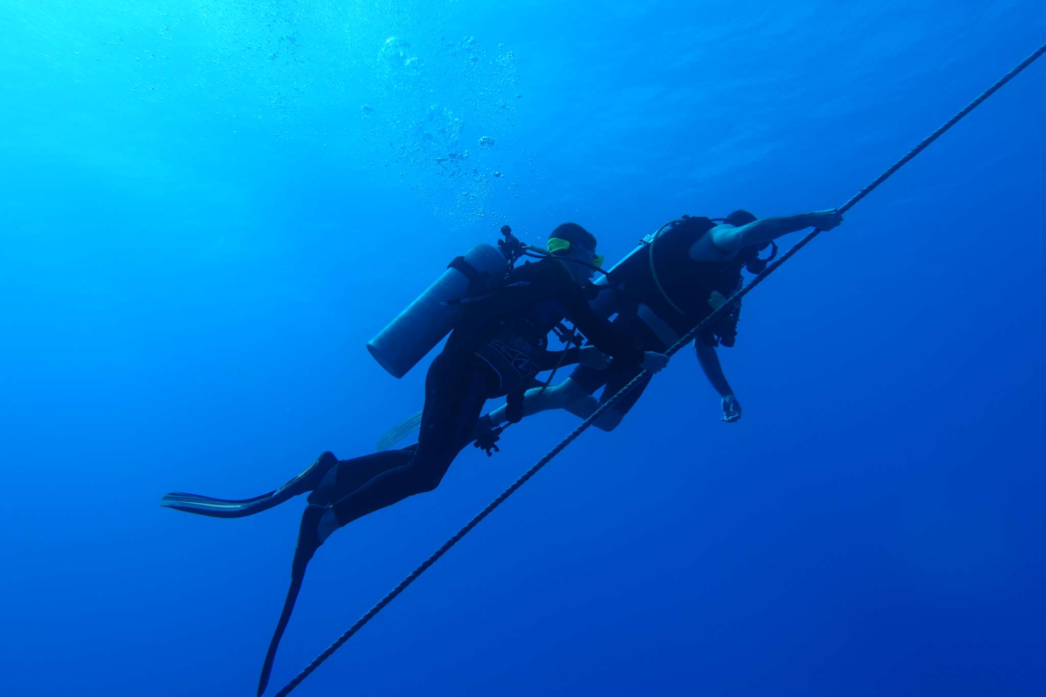 Eagle Rays Circumnavigate the Landing Craft Unit Dive Site in Oahu
