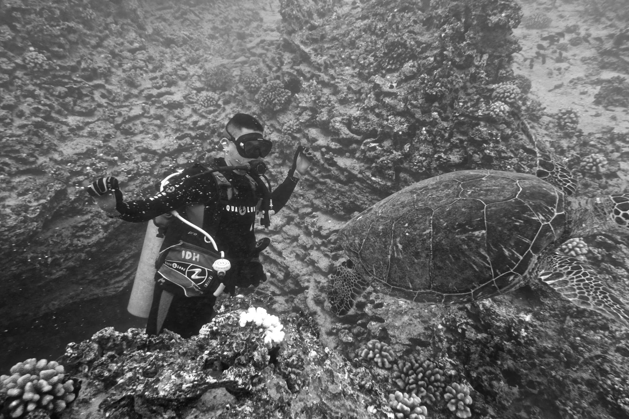 Drift Diving with 100+ Visibility and a SCUBA Diver Completing his 100th Dive