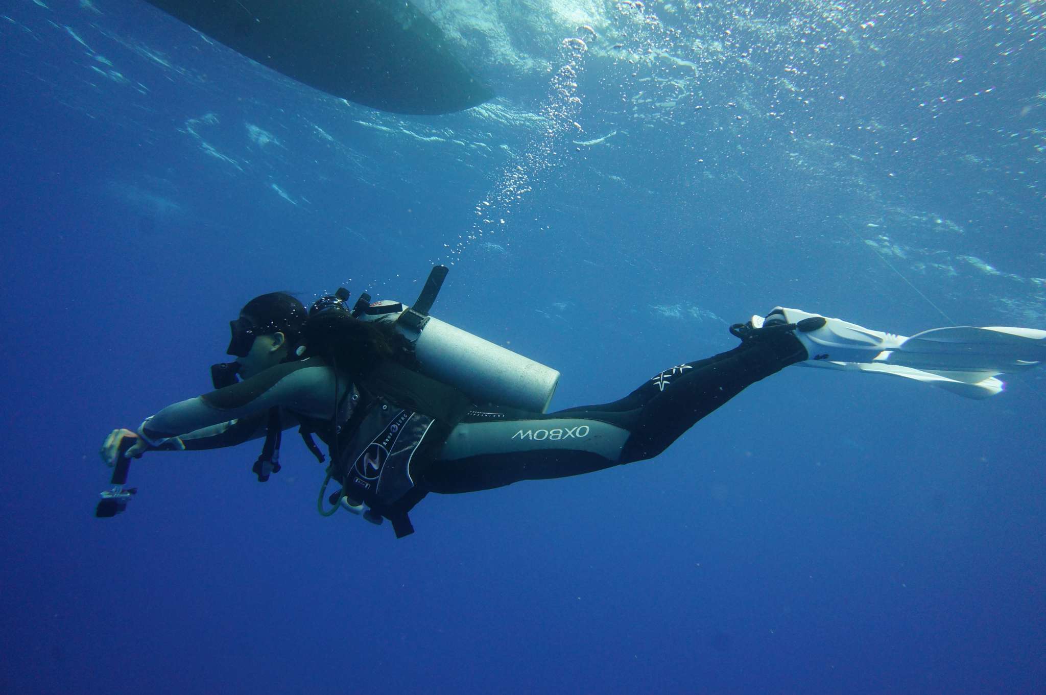FISH GARDENS Dive Site in Bloom along the Sea Walls of Hawaii!