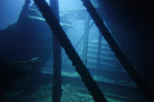 Kahala Barge wreck Dive Oahu