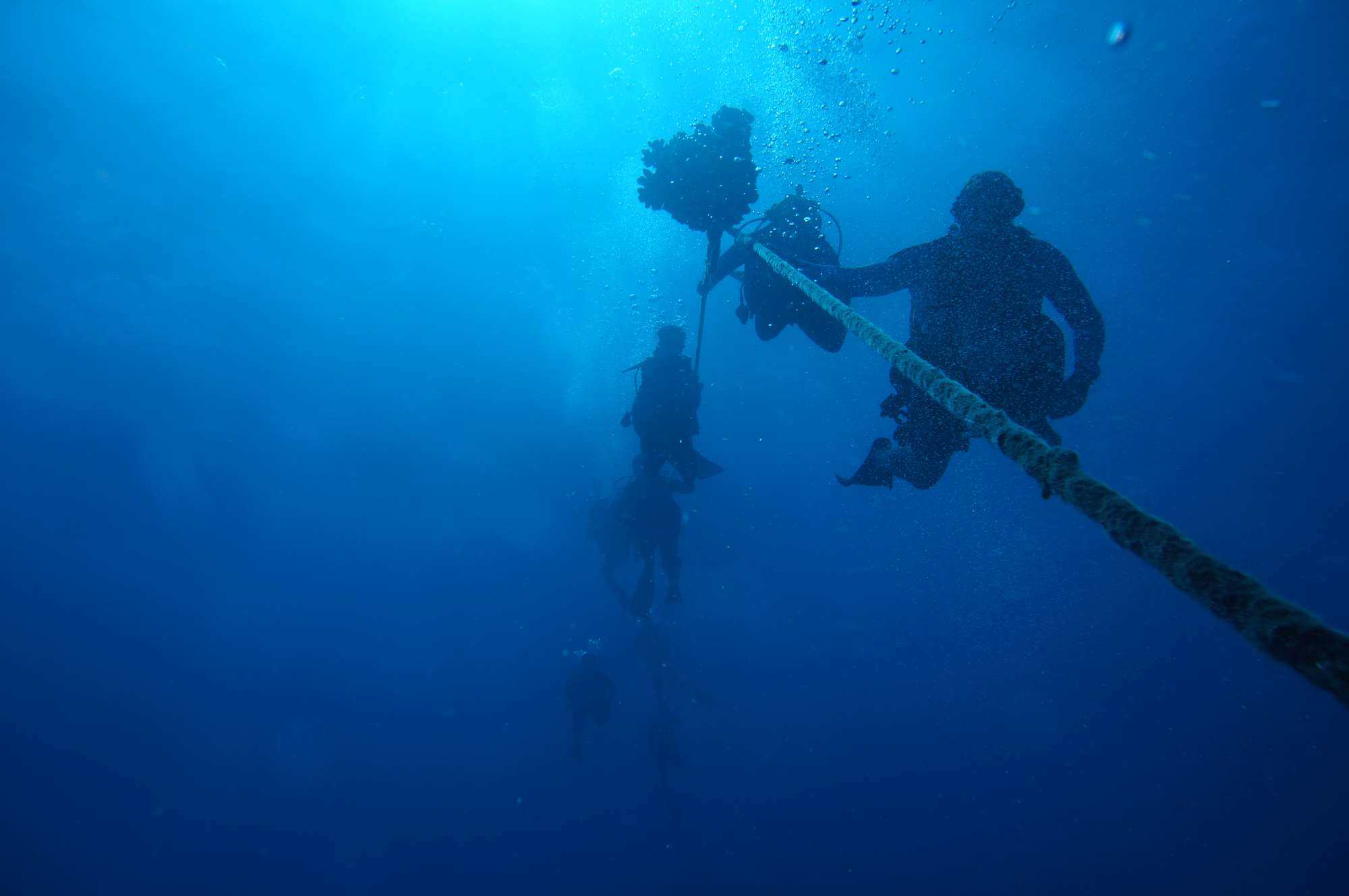 OFF THE DEEP END !!  6.21