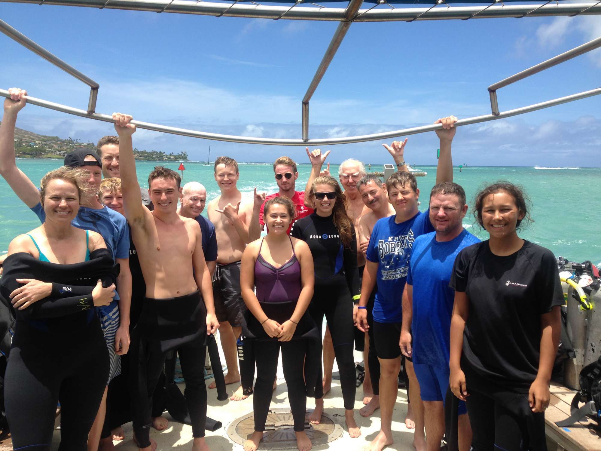 Swimming with the Sharks