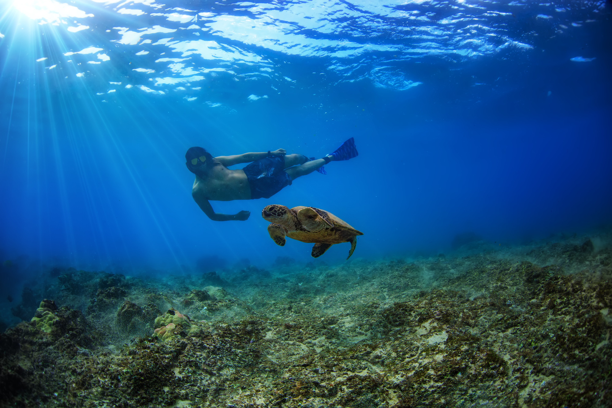 SSI versus PADI