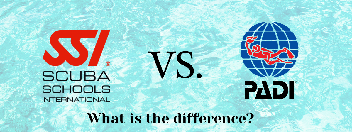 SSI versus PADI