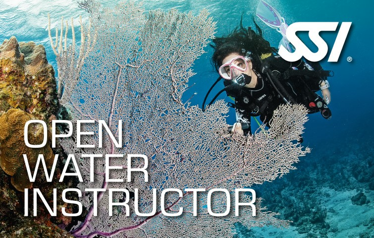 Certifying Options (1) SSI versus PADI